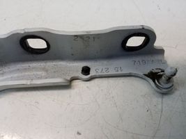 Chrysler 200 Engine bonnet/hood hinges 