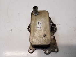 Opel Antara Tepalo filtro laikiklis/ aušintuvas 96868256