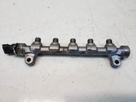 Hyundai ix35 Kraftstoffverteiler Einspritzleiste Verteilerrohr 314002A420