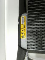 Chrysler Pacifica Air conditioning (A/C) radiator (interior) 