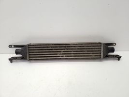 Fiat Punto (199) Chłodnica powietrza doładowującego / Intercooler 866452000