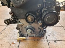 Chevrolet Captiva Moteur 25183241