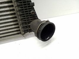 Volkswagen Tiguan Chłodnica powietrza doładowującego / Intercooler N6893002