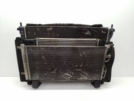 Chevrolet Captiva Radiator set 95102335