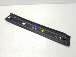 Chrysler Pacifica Door glass trim 68234032AE