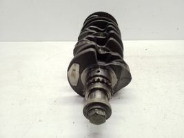 Opel Antara Crankshaft 