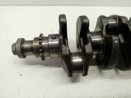 Opel Antara Crankshaft 