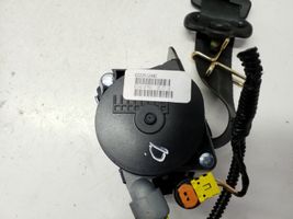 Ford C-MAX II Pas bezpieczeństwa fotela przedniego DM5161294A