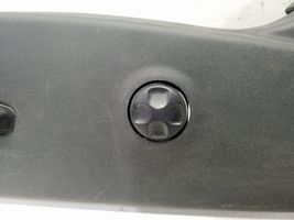 Dodge Challenger Seat trim L0239307