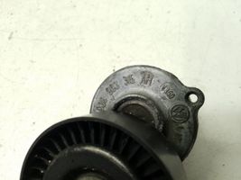 Volkswagen Tiguan Napinacz paska wielorowkowego / Alternatora 038903315AH