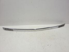 Opel Antara Tailgate trim 96661356