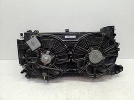 Nissan Leaf I (ZE0) Set del radiatore 214813NF0A