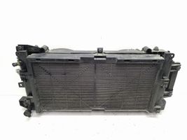 Nissan Leaf I (ZE0) Set del radiatore 214813NF0A