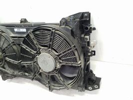 Nissan Leaf I (ZE0) Set del radiatore 214813NF0A