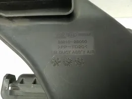 Hyundai ix35 Scatola del filtro dell’aria 282102S100