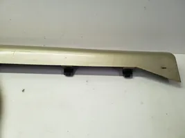 Chrysler Town & Country V Sill 0ZW51TRMAA