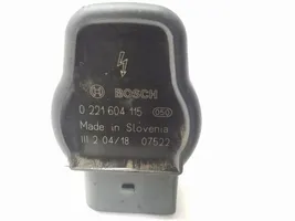 Volkswagen Tiguan High voltage ignition coil 0221604115