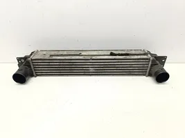 Chevrolet Captiva Chłodnica powietrza doładowującego / Intercooler 96629070