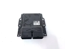 Nissan Leaf I (ZE0) Calculateur moteur ECU DEV00002