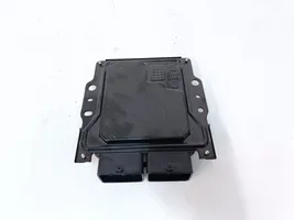 Nissan Leaf I (ZE0) Calculateur moteur ECU DEV00002