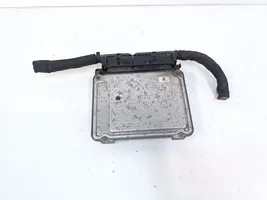 Volkswagen Tiguan Engine control unit/module 03L907309AE