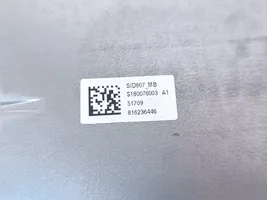 Citroen C4 Grand Picasso Sterownik / Moduł ECU 9676761080