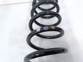 Volkswagen Tiguan Rear coil spring 