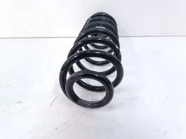 Volkswagen Tiguan Rear coil spring 