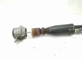 Audi Q5 SQ5 Rear shock absorber/damper 8R0513035