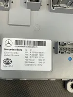 Mercedes-Benz S W222 Jednostka sterowania SAM A2229006609