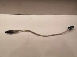 Citroen C4 II Sonde lambda 7548961