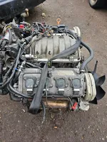 Audi A8 S8 D2 4D Moteur 077103021N