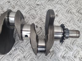 Renault Twingo II Crankshaft F146226