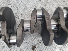 Renault Twingo II Crankshaft F146226