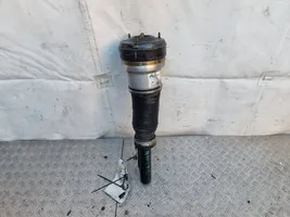 Mercedes-Benz S W220 Front air suspension shock absorber AS2193