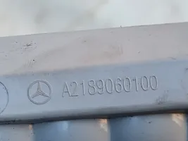 Mercedes-Benz CLS C218 X218 Luce d’arresto centrale/supplementare A2189060100