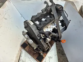 Skoda Octavia Mk2 (1Z) Motore CAY