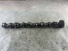 Audi A8 S8 D3 4E Albero a camme 54045101