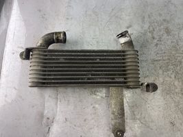 Hyundai Matrix Chłodnica powietrza doładowującego / Intercooler 2827027620