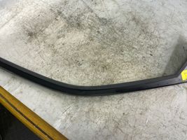 Chrysler 300 - 300C Front door trim bar 108jnj1m534