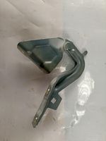 Mitsubishi Grandis Cerniere del vano motore/cofano 2GI2