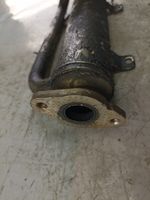 Mitsubishi Grandis EGR-venttiili/lauhdutin 