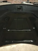 Jeep Grand Cherokee (WK) Engine bonnet/hood 