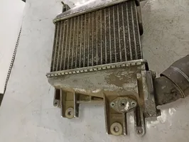 Nissan Patrol Y61 Chłodnica powietrza doładowującego / Intercooler 020701