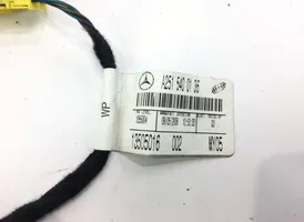 Mercedes-Benz ML W164 Airbag del pasajero A2518600805