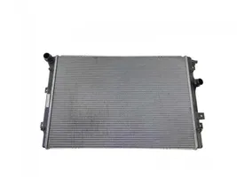 Seat Alhambra (Mk2) Dzesēšanas šķidruma radiators 5N0121253P