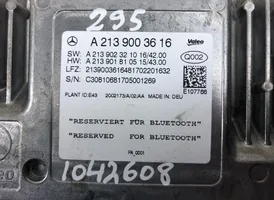 Mercedes-Benz E W213 Kameran ohjainlaite/moduuli A2139006120