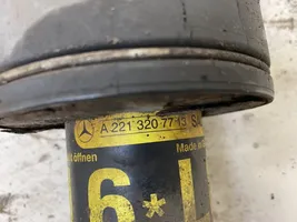 Mercedes-Benz CL C216 Etuiskunvaimennin A2213207913