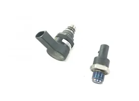 Mercedes-Benz R W251 Regolatore di pressione del carburante 0281002494