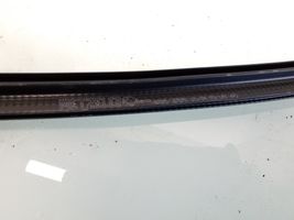 Citroen Berlingo Front door rubber seal H795